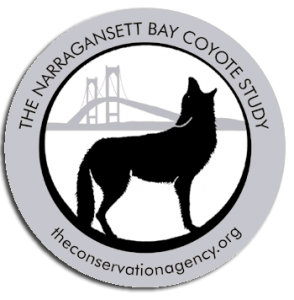 Narragansett Bay Coyote Study home