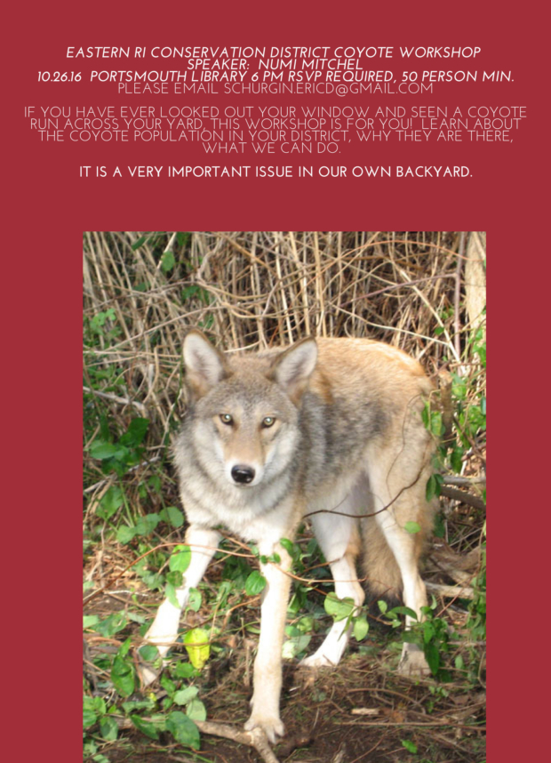 Coyote Workshop at Portsmouth Public Library