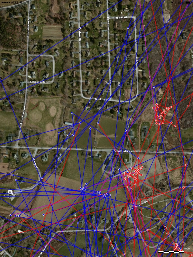Travel vectors of George show him frequenting both farms at night (blue) and resting nearby during the day (red)