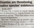 Are coyotes a threat to (other) native species?