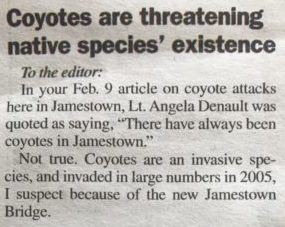 Are coyotes a threat to (other) native species?